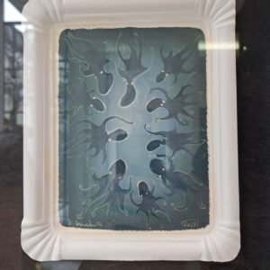 Im Visier der Cephalopoden