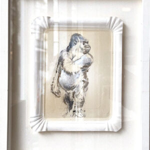 Monkey Man schaut zurück