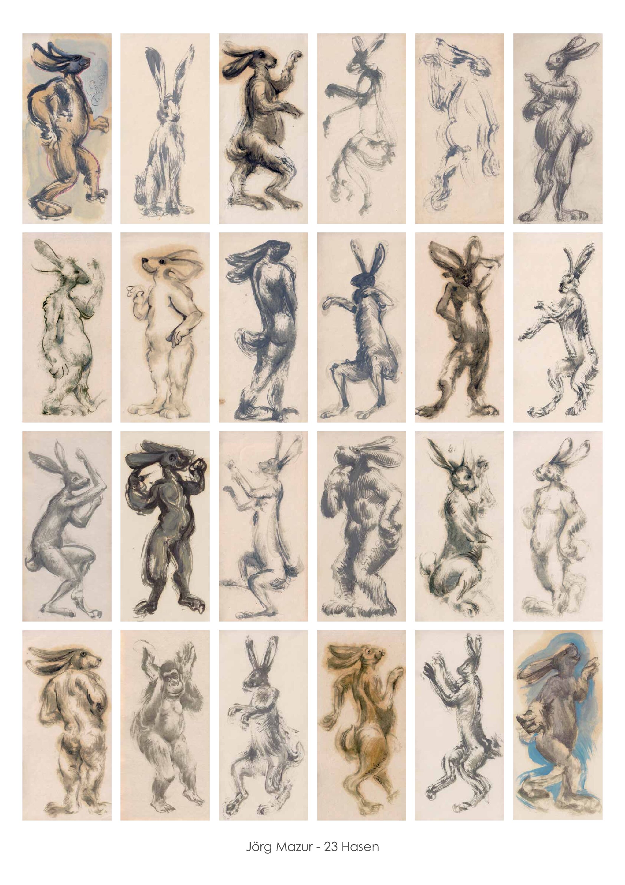23 Hasen