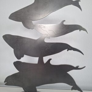 5 Orcas
