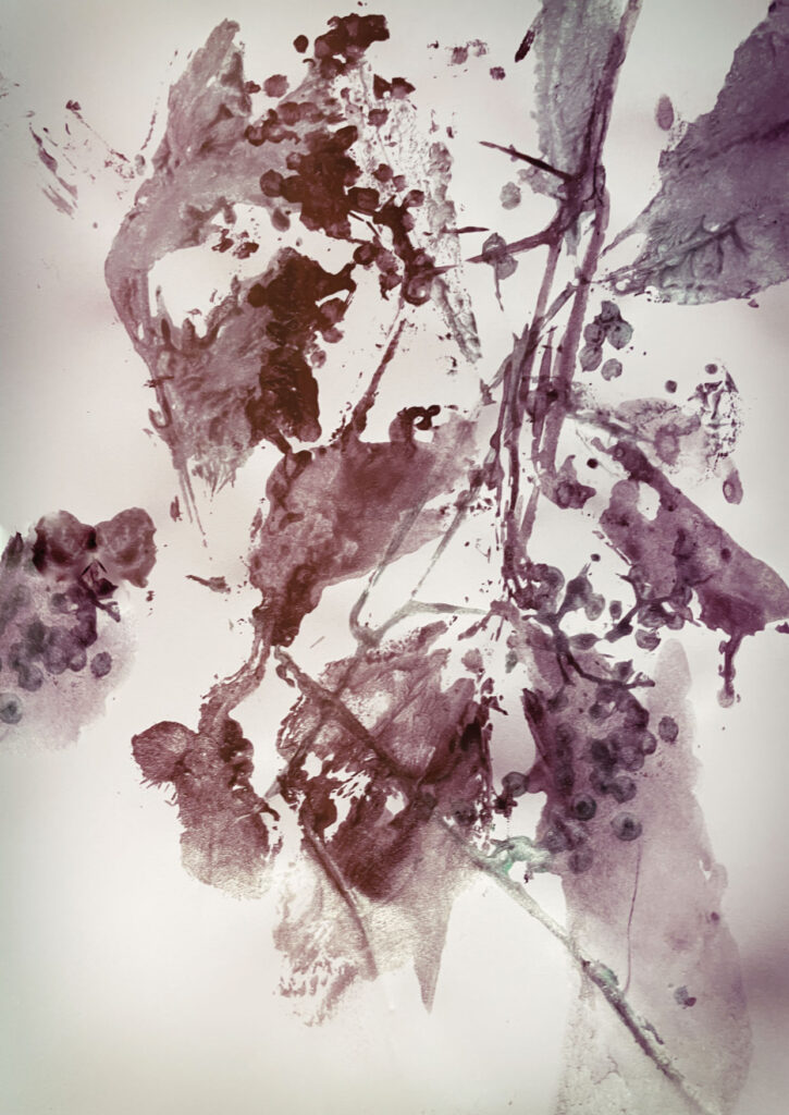 obphyt-21